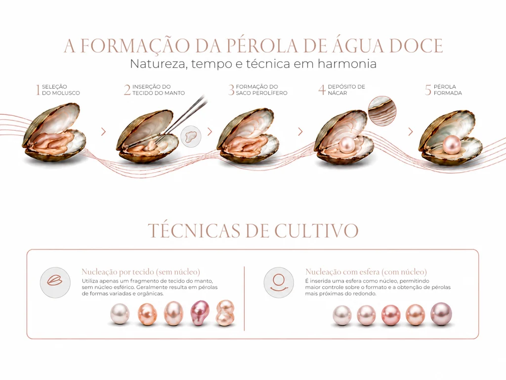 Passo a passo da formação da pérola de água doce. Passo 1: seleção do molusco. Passo 2: Inserção do tecido do manto. Passo 3: Formação do saco perolífero. Passo 4: Depósito de nácar. Passo 5: pérola formada.
Técnicas de cultivo explicadas: Nucleação por tecido (sem núcleo), proporcionando pérolas em formas variadas e orgânicas. Técnica de nucleação com esfera (com núcleo), produzindo pérolas mais próximas do formato redondo.
