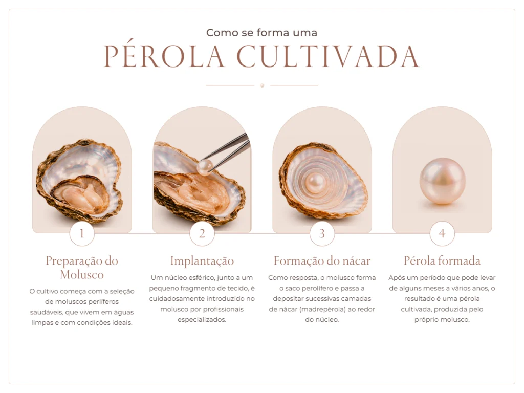 Como se forma uma pérola cultiva. Passo 1: preparação do molusco. Passo 2: Implantação. Passo 3: Formação no nácar. Passo 4: Pérola formada.